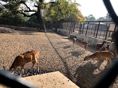 Zoo Ticket Office