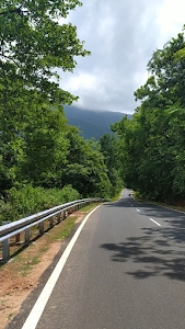 Bhalumunda