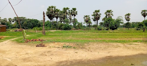 Buzurga