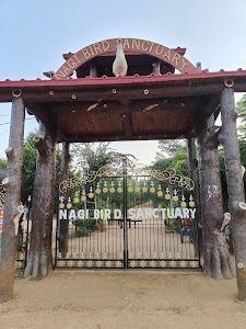 Nagi Dam {नागी डैम}