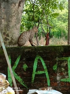 Laxmipur