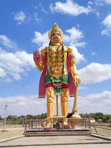 Anil chicken