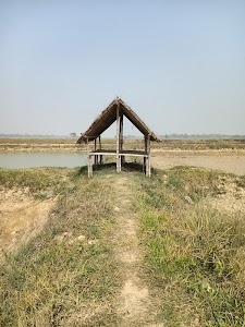 Barju Taal