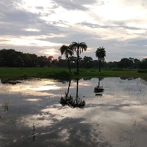 Parmanand pur