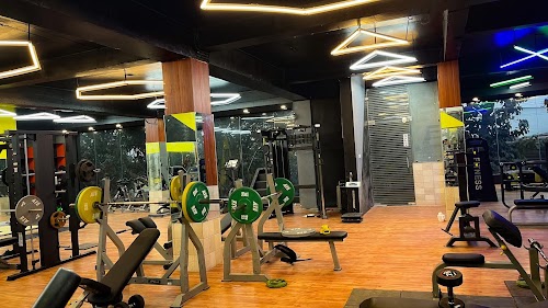 Veins Fitness Centre The Gym (Thapliyal Associate Tower)