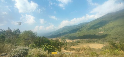 Jatinga Lampu