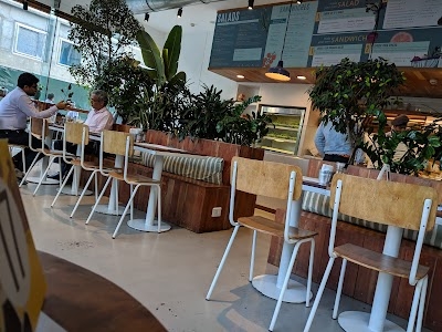 Kitchen Garden BKC