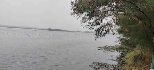 Okhla Bird Sanctury, Sector 95