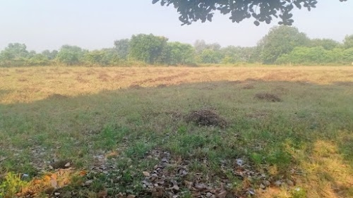 Deen Dayal farm