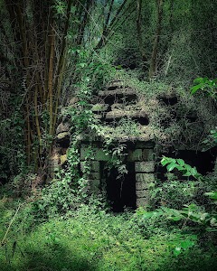 Deuli