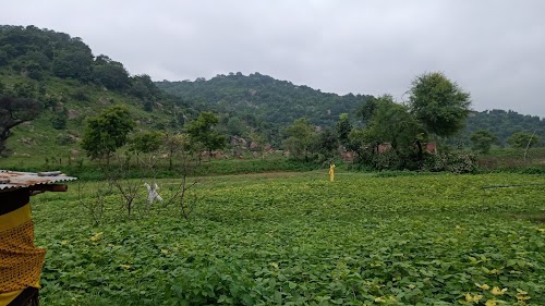 Kholra