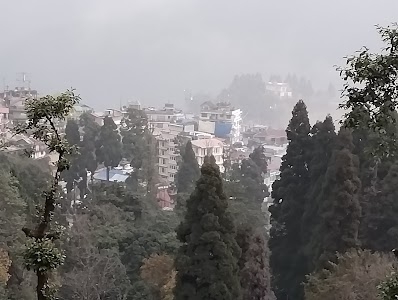 Ambeok Tea Garden