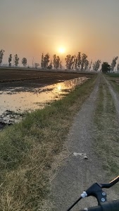 Sangoha