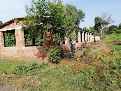 Singh Poultry farm