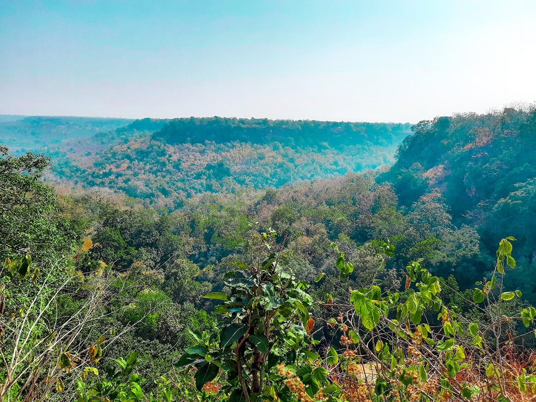 Dev Kho Forest Chouki