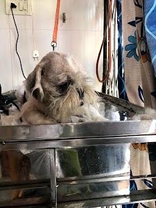 SHREE PET SHOP & PET CLINIC VIRAR EAST WEST NALLASOPARA