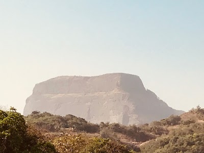 Dhak Bahiri