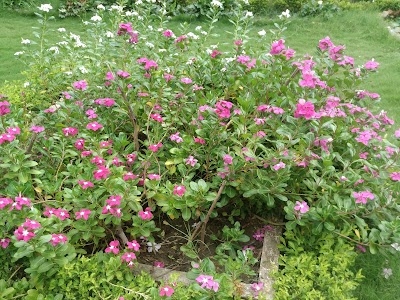 WRS Colony, Khamtarai