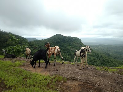 Tadgaon