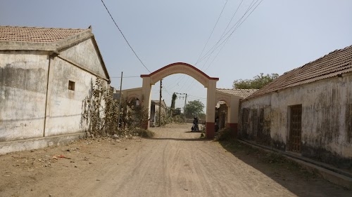 Vadaliya Sinhan
