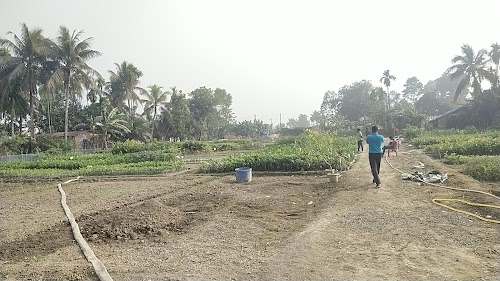 Afrin Nursery ( New Branch)