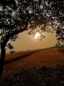 Sohnariya