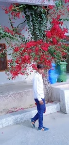 Ghaghpur