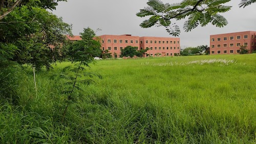 Dr. A.P.J. Abdul Kalam University