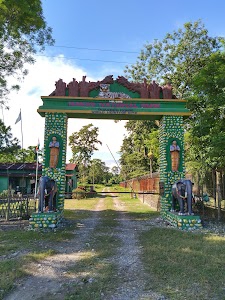Manas National Park, Panbari Range.