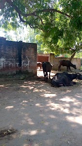 Hilalganj