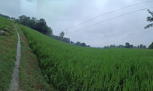 Badhya Fulwariya