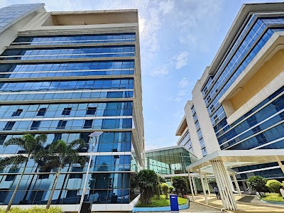 Cognizant CDC