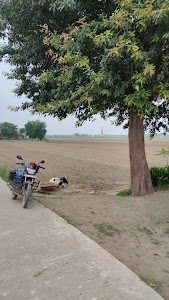 Jaunapur