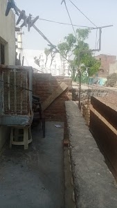 Kaulsena