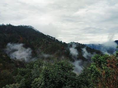 Digtoli