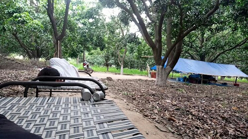 Bharatpur, Shiv Mandir