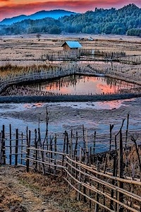 Utrakhand Tarenawa