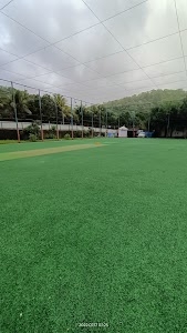 Wankhede