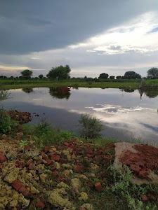 Vijay villa
