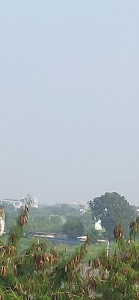Shobhagpura