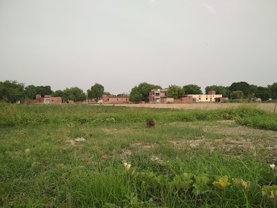 Basni