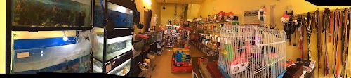 Pampering Pets The Pet Shop