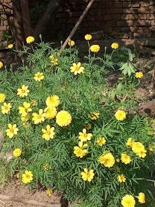 Jubarajpur