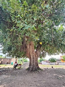 Dahegaon ( joshi )