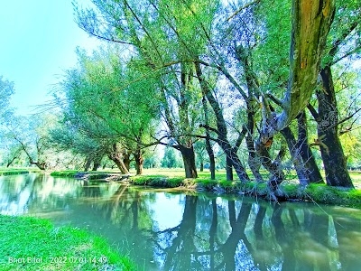 Hygam wetland