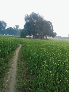 Medepur