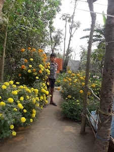Raipur