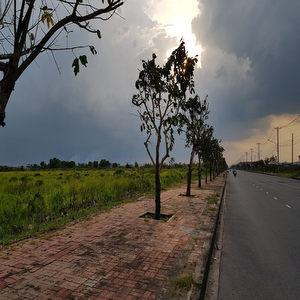 Củ Chi