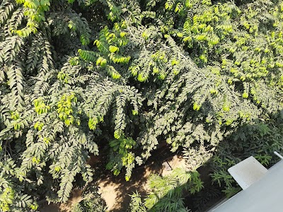 Madhuban Enclave, Preet Vihar