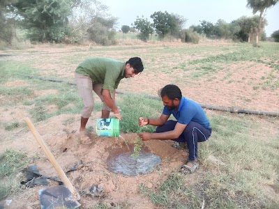 Sattu Megh